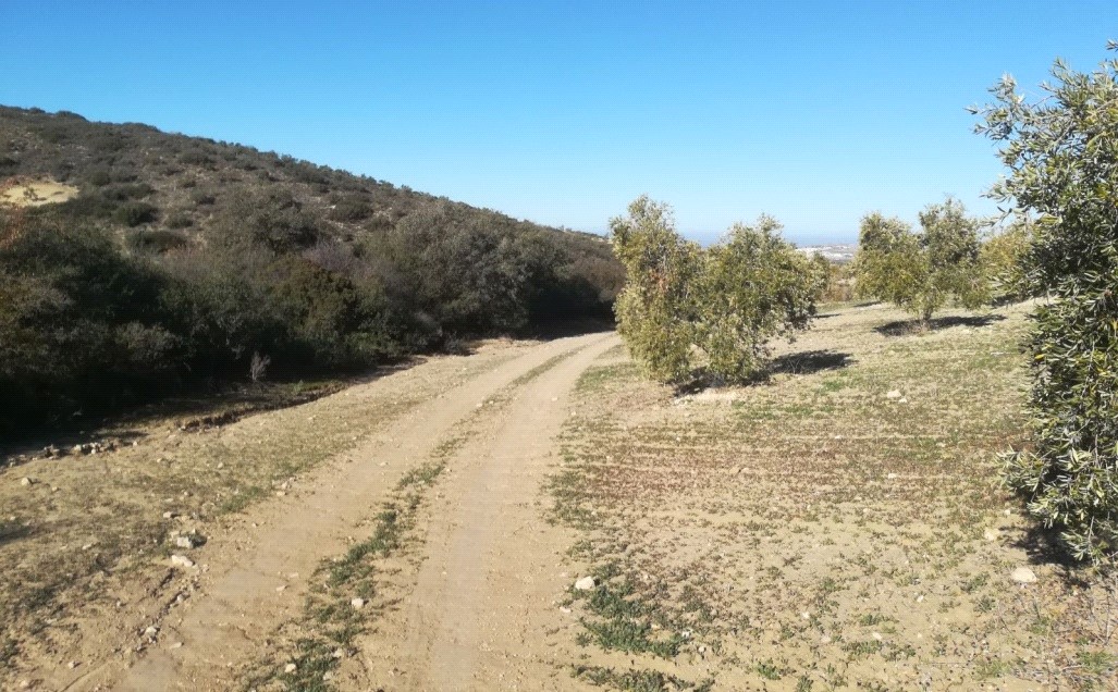 Ver imagen Fotografía de la ruta Camino del Barranco