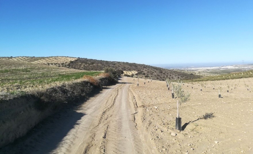 Ver imagen Fotografía de la ruta Camino del Barranco
