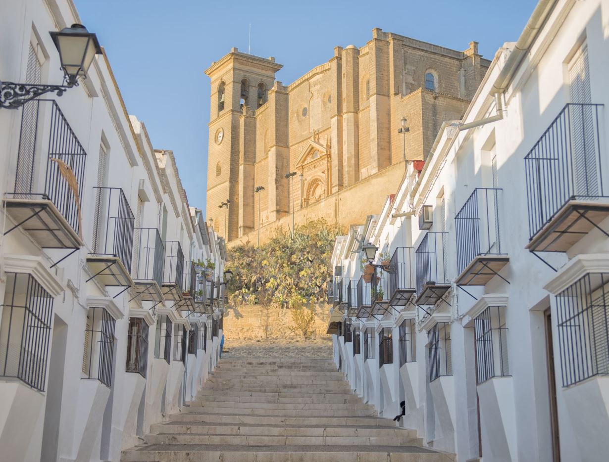 Ver imagen Colegiata de Osuna