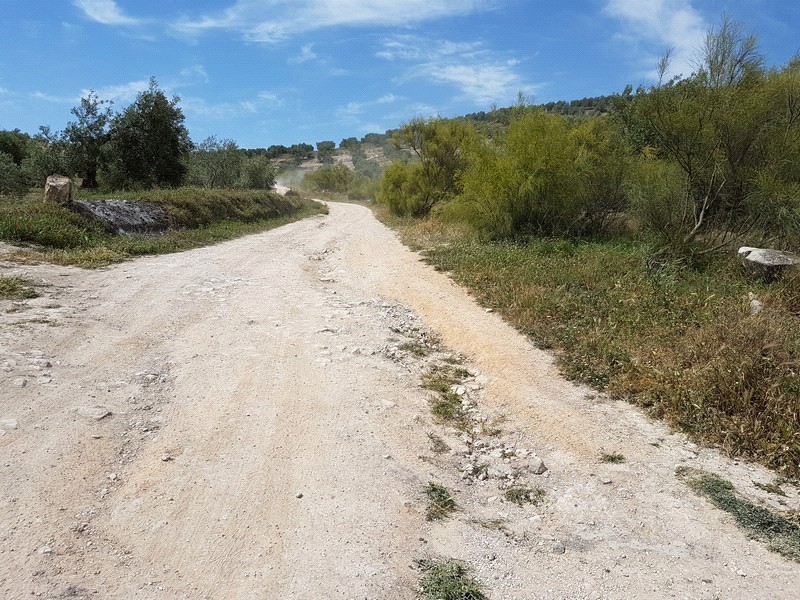 Ver imagen Fotografía ruta de La Encina - Calderona