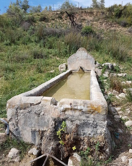 Ver imagen Fotografía ruta de La Encina - Calderona