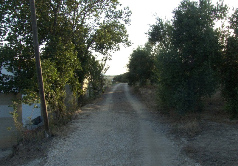 Ver imagen Fotografía ruta de La Encina - Calderona