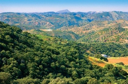Ver imagen Fotografía ruta de La Gomera