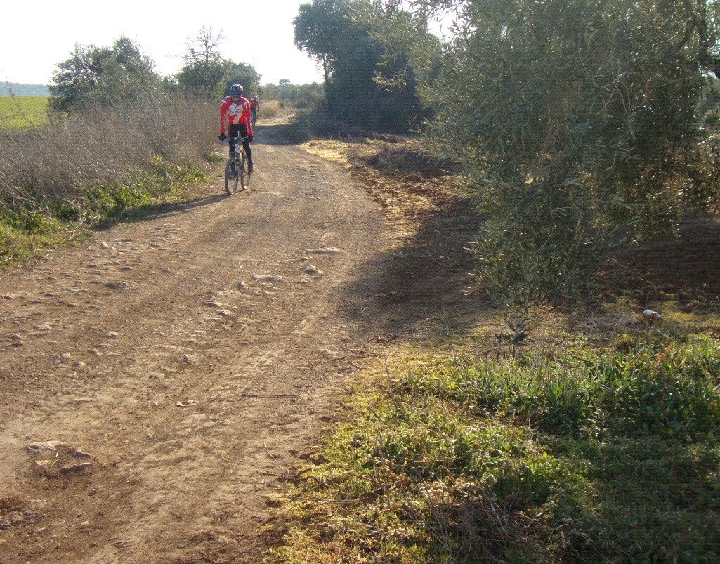 Ver imagen Fotografía ruta de Ípora - Los Naranjos