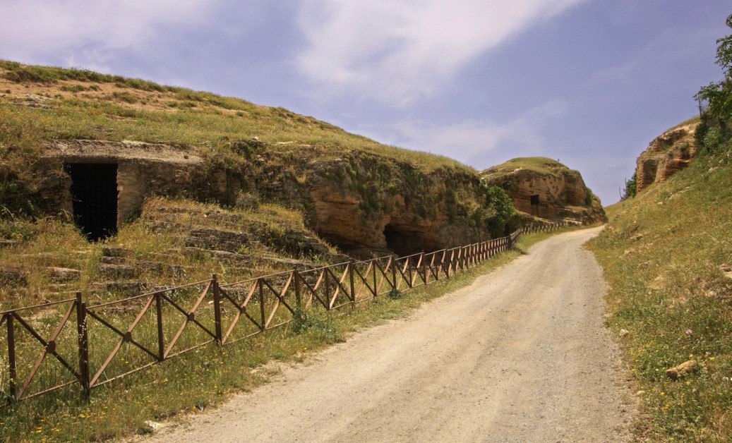 Ver imagen Fotografía ruta de La Necrópolis