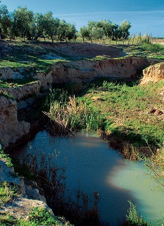 Ver imagen Fotografía ruta del Arroyo 'El salinoso'