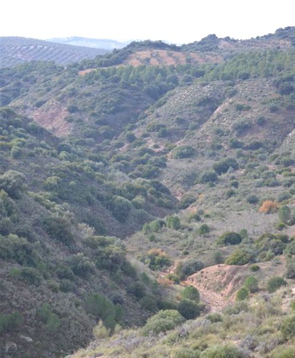 Ver imagen Fotografía ruta del Arroyo 'El salinoso'