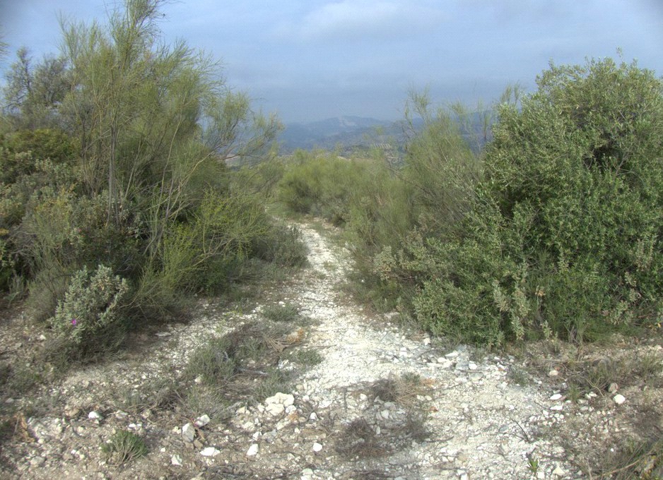 Ver imagen Fotografía ruta de La Gomera - Sierra Pérez