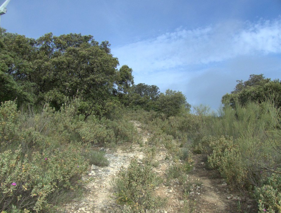 Ver imagen Fotografía ruta de La Gomera - Sierra Pérez