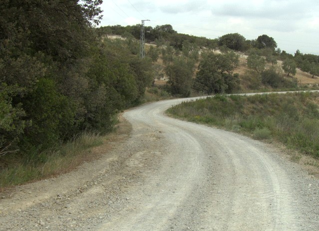 Ver imagen Fotografía ruta de Las Viñas