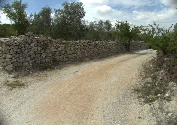 Ver imagen Fotografía ruta de Las Viñas